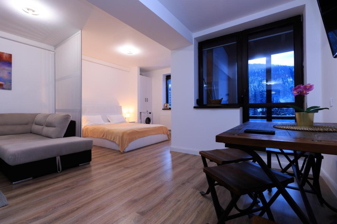Best View Ap With Parking And 2 Bathrooms Sinaia Exterior foto