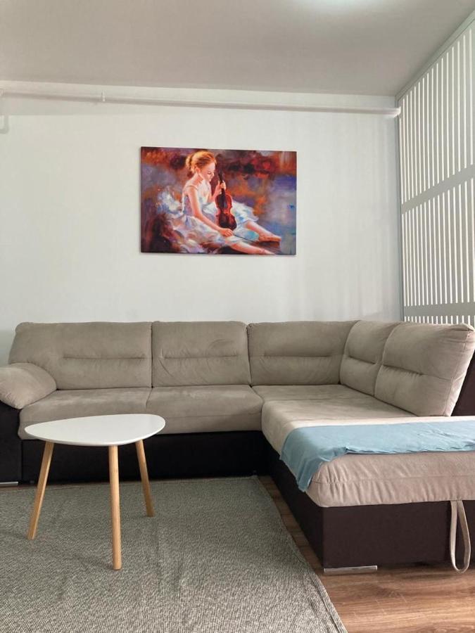 Best View Ap With Parking And 2 Bathrooms Sinaia Exterior foto